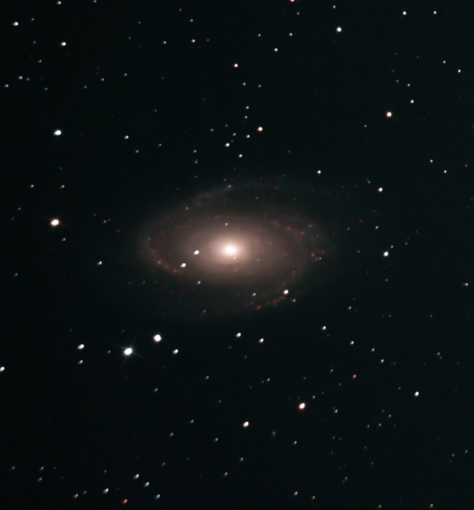 Bodes Galaxie M81